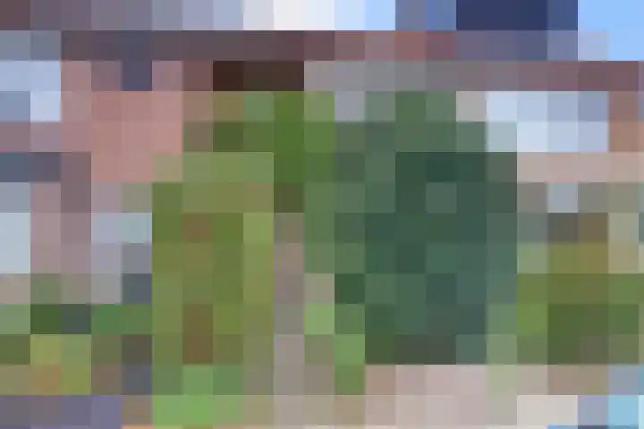 Jac. Perkstraat 4 Harderwijk thumbnail 43