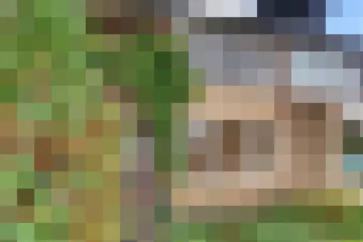 Jac. Perkstraat 4 Harderwijk thumbnail 5