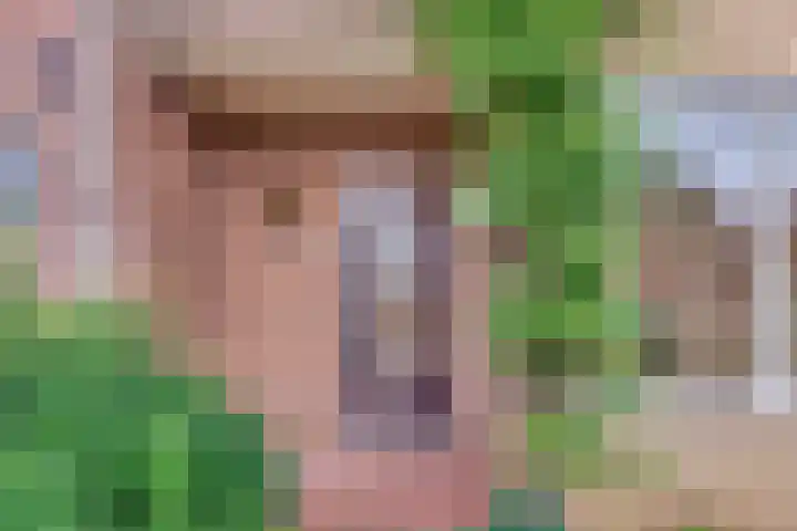 Jac. Perkstraat 4 Harderwijk thumbnail 6