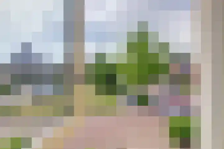 Jac. Perkstraat 9 Harderwijk thumbnail 32