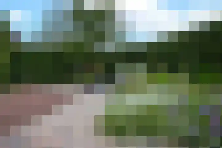 Jac. Perkstraat 9 Harderwijk thumbnail 35