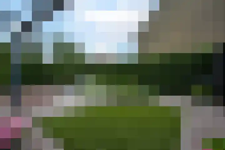 Jac. Perkstraat 9 Harderwijk thumbnail 4