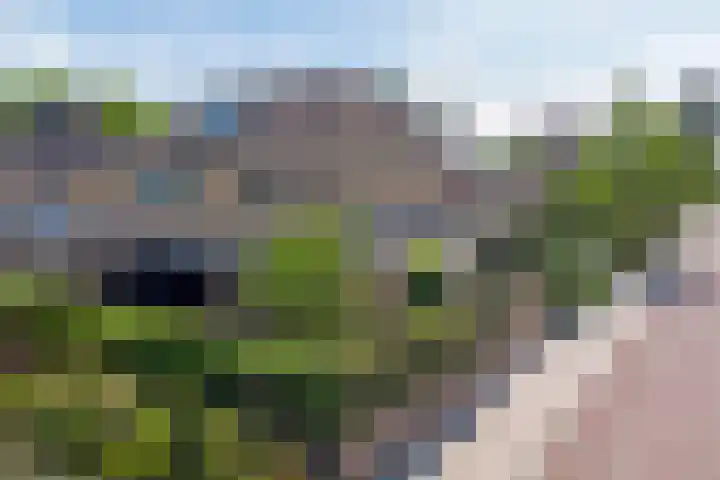 Jac. Perkstraat 9 Harderwijk thumbnail 40