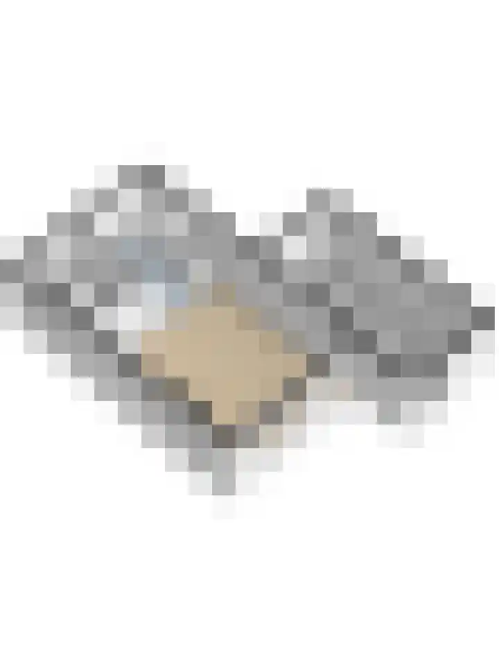 Jac. Perkstraat 9 Harderwijk thumbnail 51
