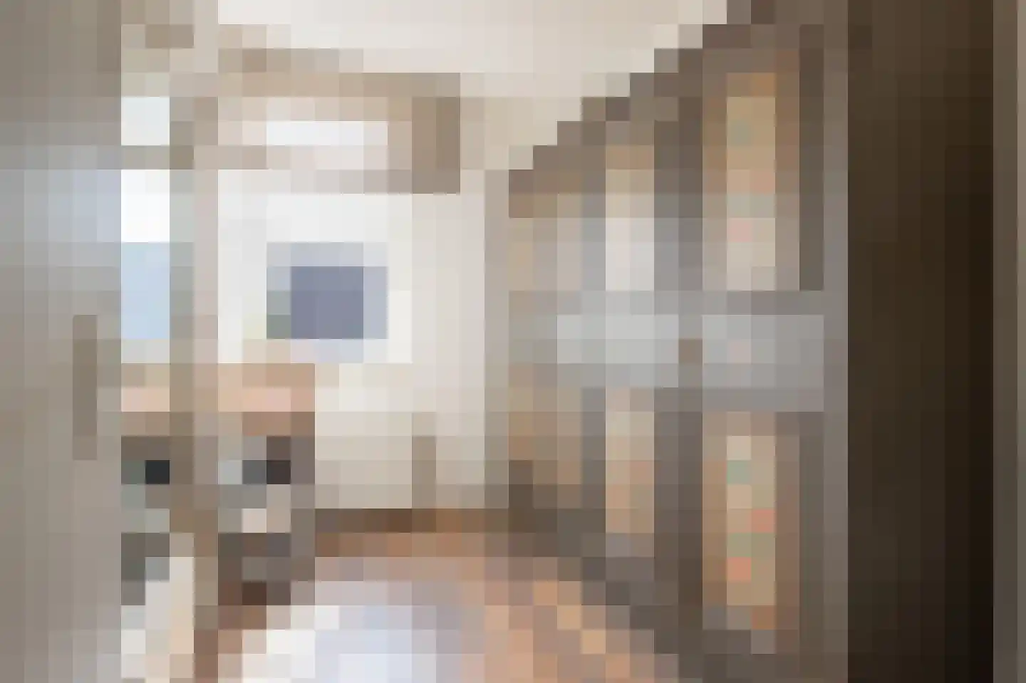Jac Reijnderslaan 8 Susteren thumbnail 19