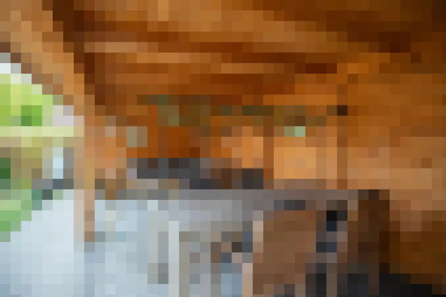 Jac Reijnderslaan 8 Susteren thumbnail 4