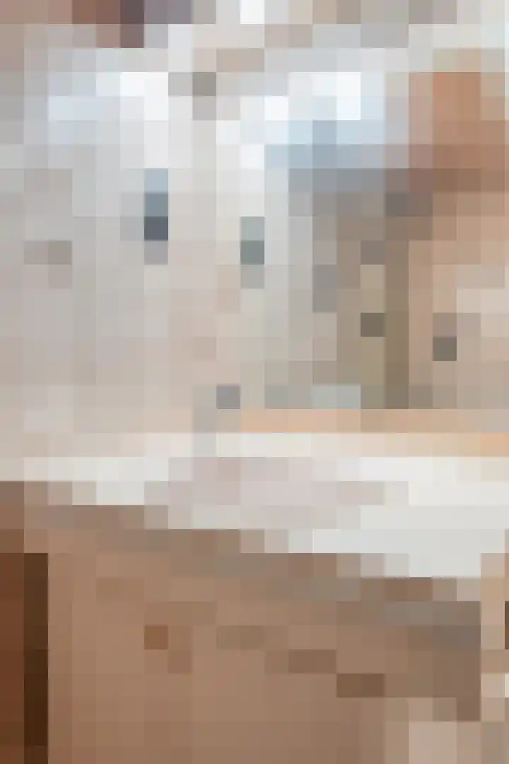 Jac.Schreursstraat 17 Kerkrade thumbnail 35