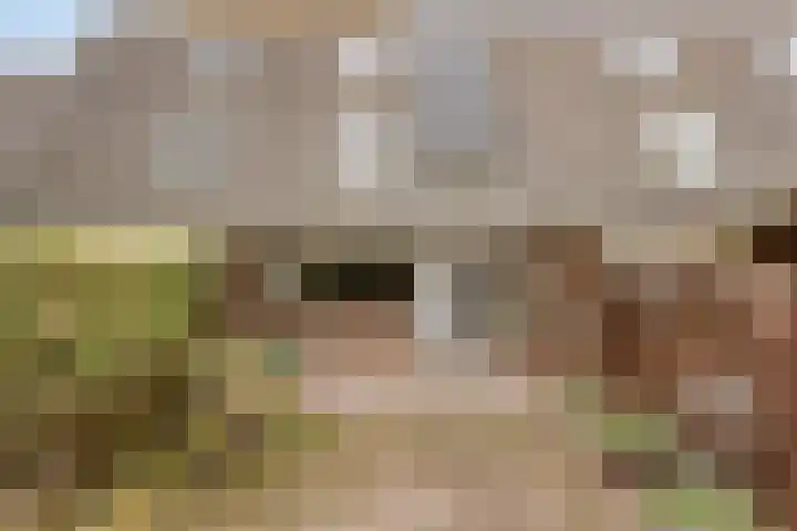 Jac.Schreursstraat 17 Kerkrade thumbnail 42