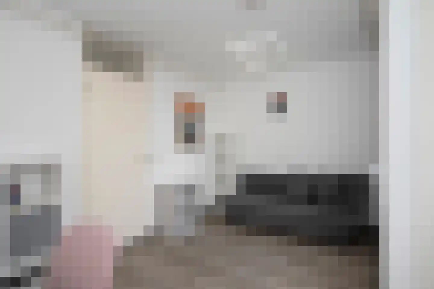 Jac Thijssedomein 8 Maastricht thumbnail 19