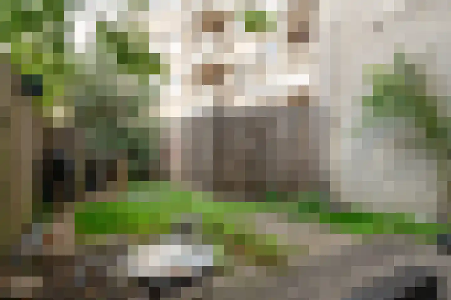 Jac Thijssedomein 8 Maastricht thumbnail 24