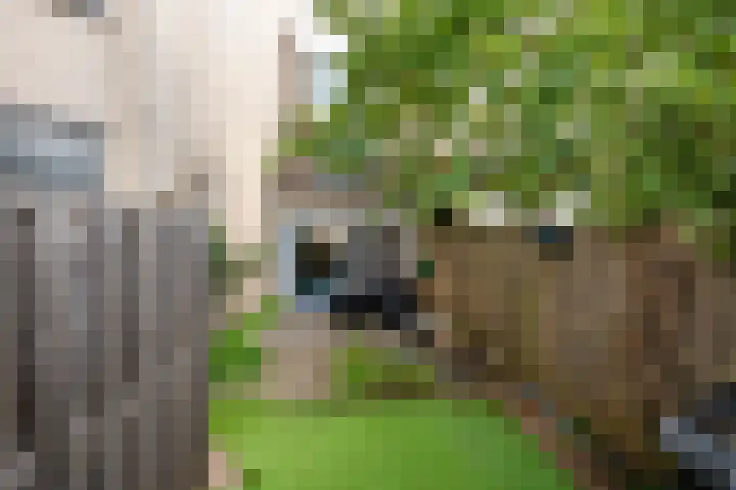 Jac Thijssedomein 8 Maastricht thumbnail 26