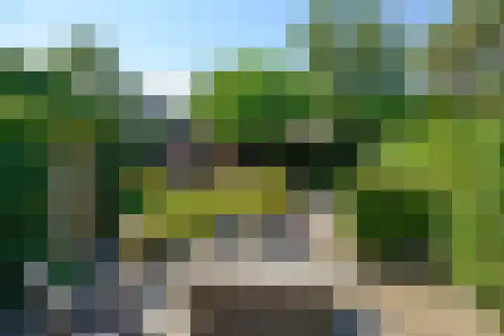 Jac. van Looylaan 10 Soest thumbnail 21