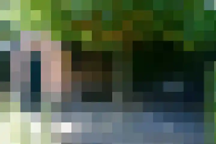 Jac. van Looylaan 10 Soest thumbnail 23