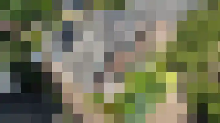 Jac. van Looylaan 10 Soest thumbnail 26