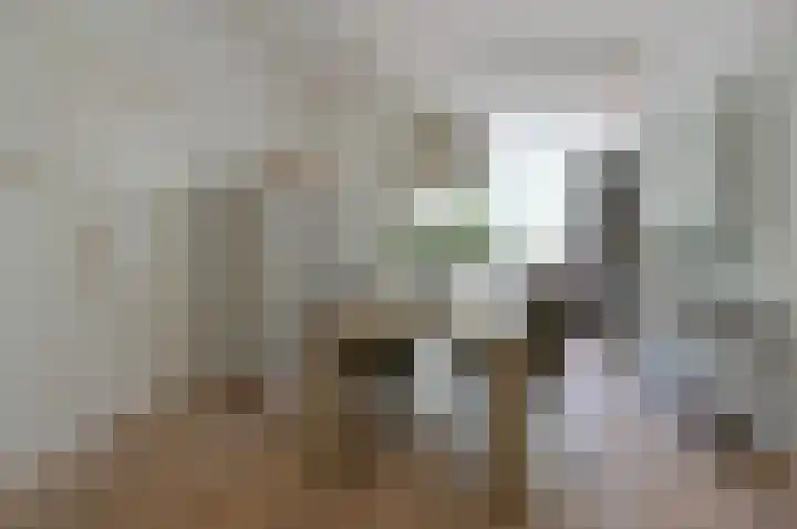 Jac. van Looylaan 10 Soest thumbnail 9