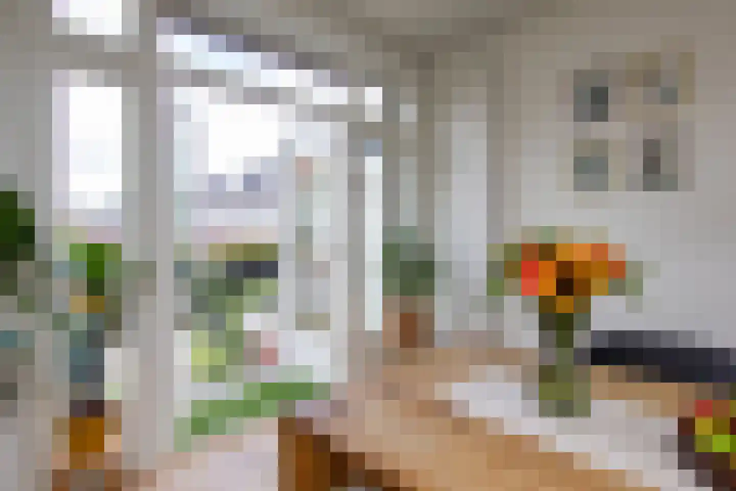 Jac. van Looystraat 17 Haarlem thumbnail 27