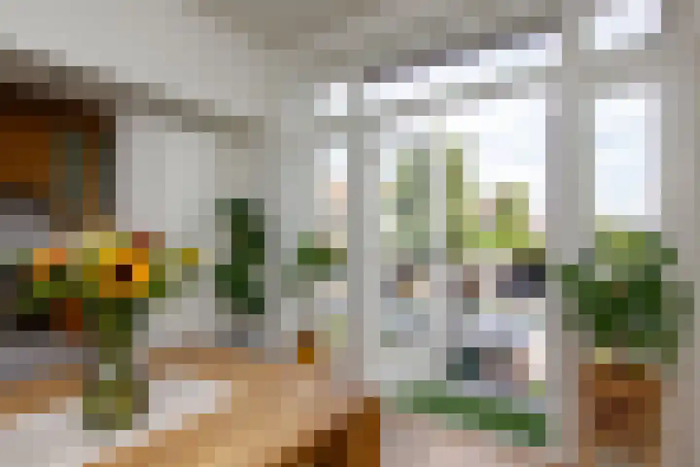 Jac. van Looystraat 17 Haarlem thumbnail 28