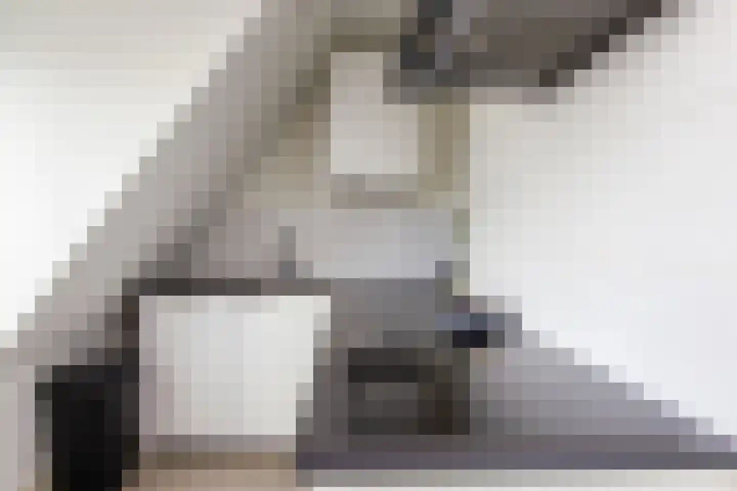 Jac. van Looystraat 21 Haarlem thumbnail 24