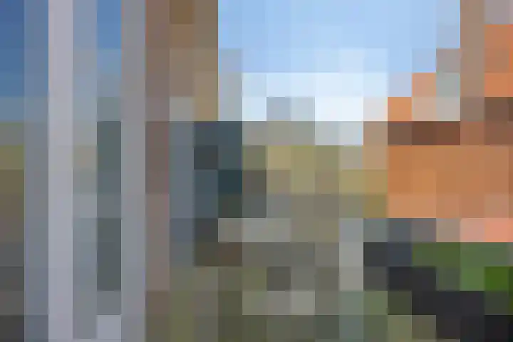 Jac. van Looystraat 5 Haarlem thumbnail 20