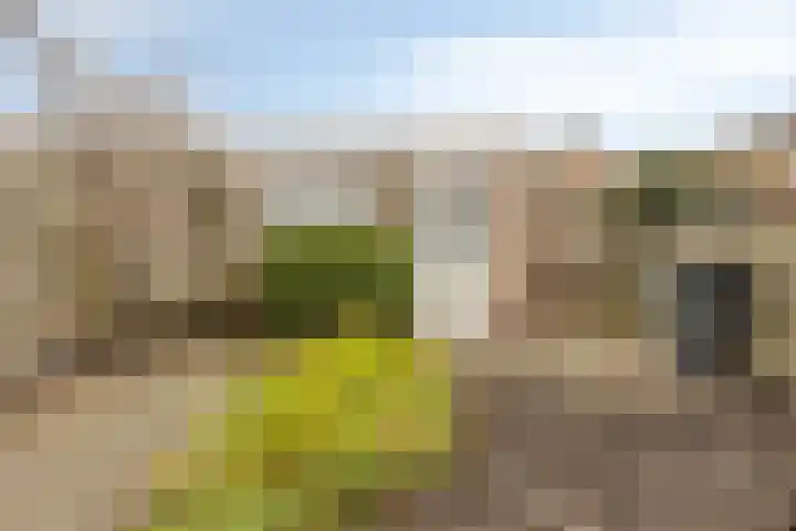 Jac. van Maerlantlaan 42 Heerhugowaard thumbnail 35