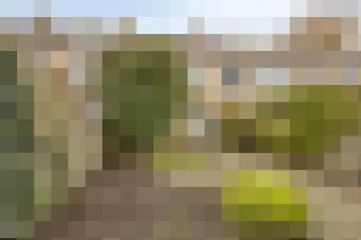 Jac. van Maerlantlaan 42 Heerhugowaard thumbnail 39