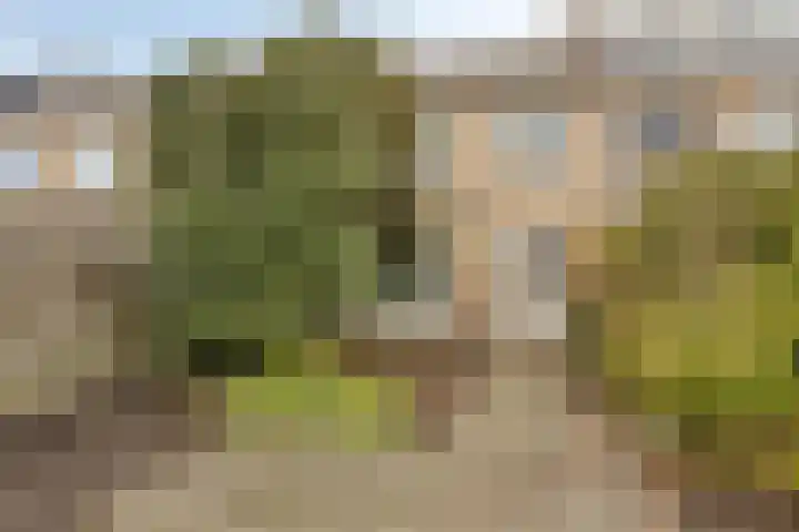 Jac. van Maerlantlaan 42 Heerhugowaard thumbnail 40