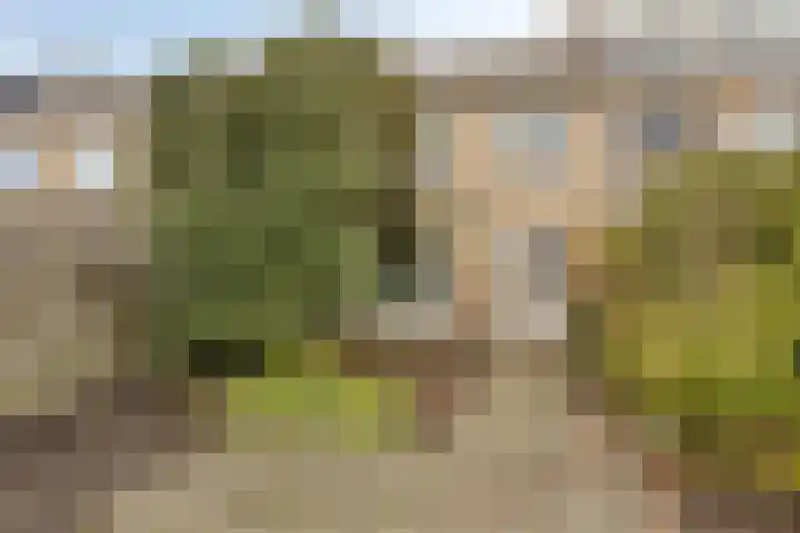 Jac. van Maerlantlaan 42 Heerhugowaard thumbnail 6