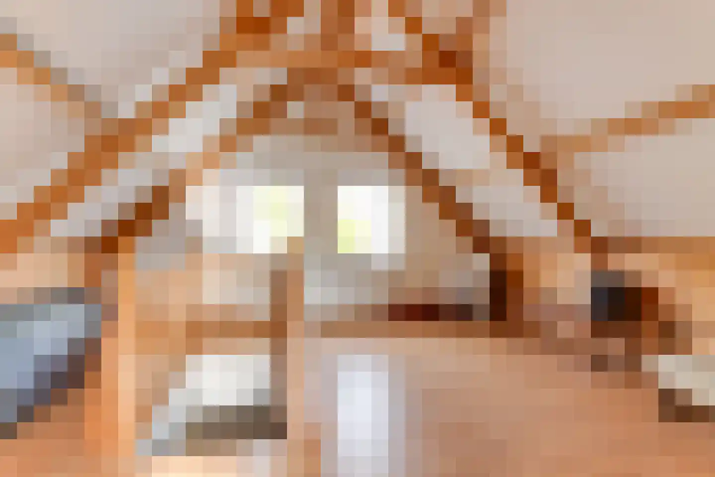 Jac. van Maerlantlaan 43 Heerhugowaard thumbnail 29