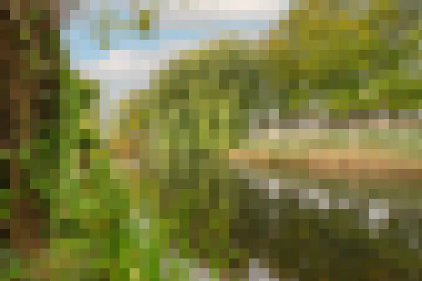 Jac. van Maerlantlaan 43 Heerhugowaard thumbnail 38
