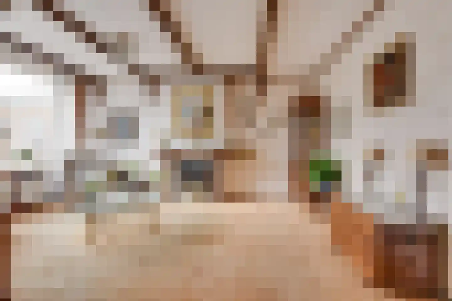 Jac. van Maerlantlaan 43 Heerhugowaard thumbnail 7