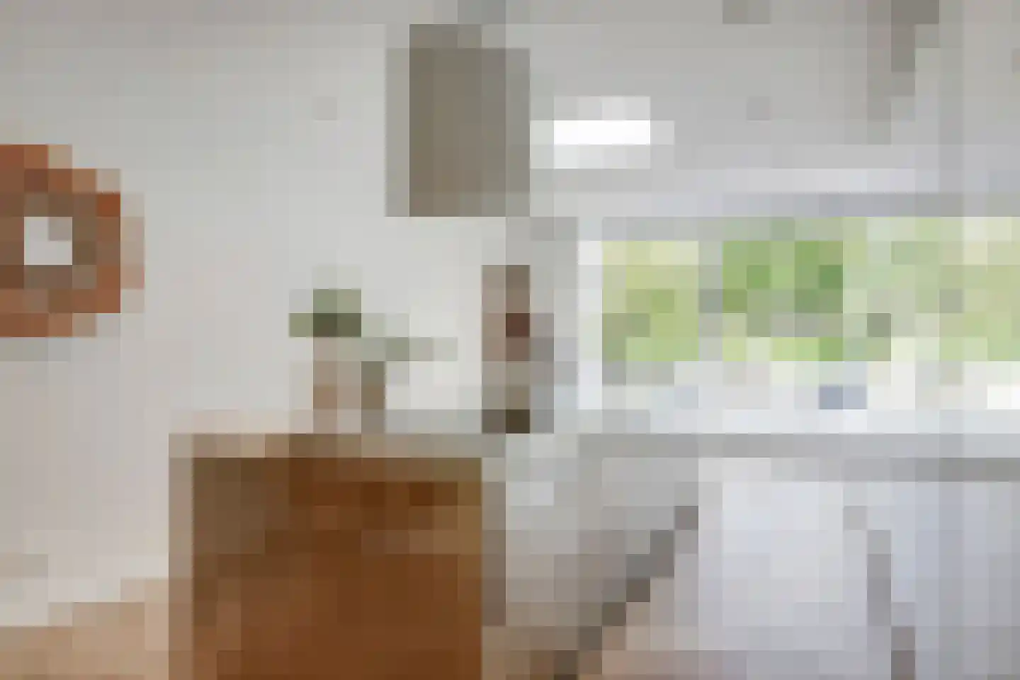 Jac. van Maerlantlaan 55 Heerhugowaard thumbnail 14