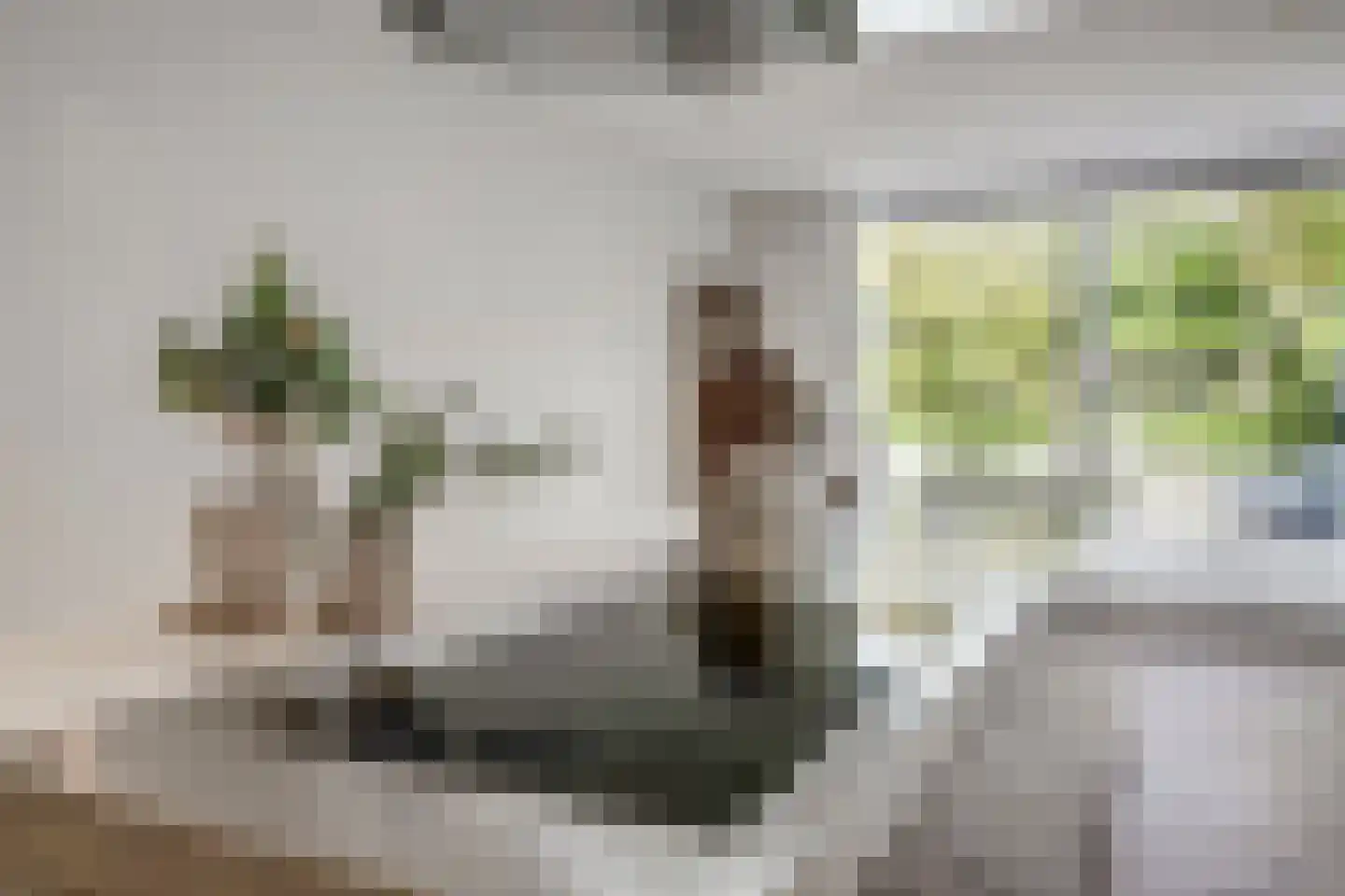 Jac. van Maerlantlaan 55 Heerhugowaard thumbnail 19
