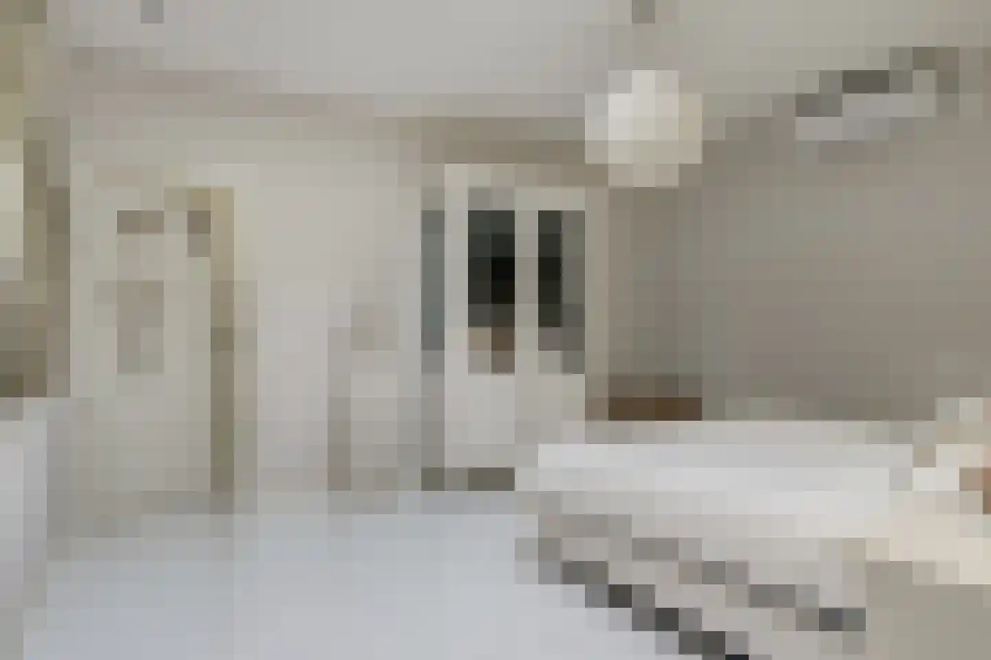 Jac. van Maerlantlaan 55 Heerhugowaard thumbnail 23