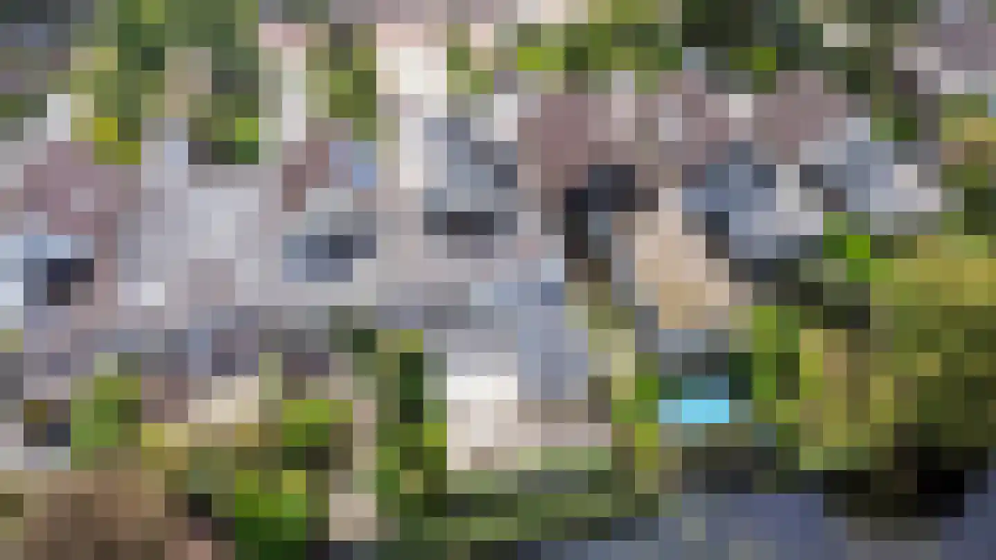Jac. van Maerlantlaan 55 Heerhugowaard thumbnail 43