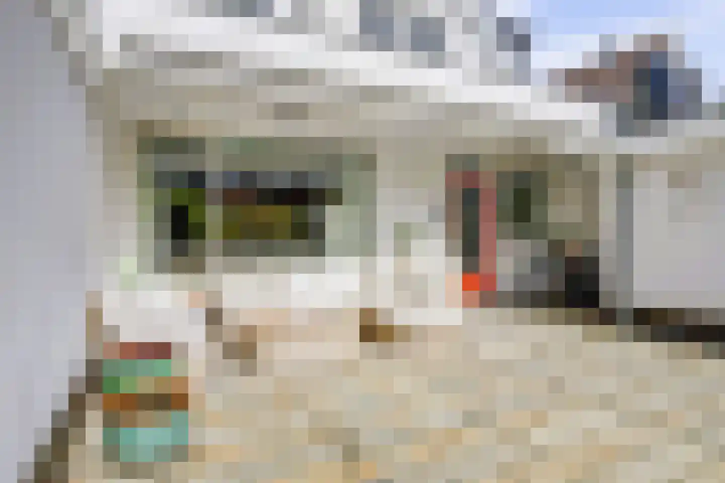 Jac. van Maerlantlaan 55 Heerhugowaard thumbnail 5
