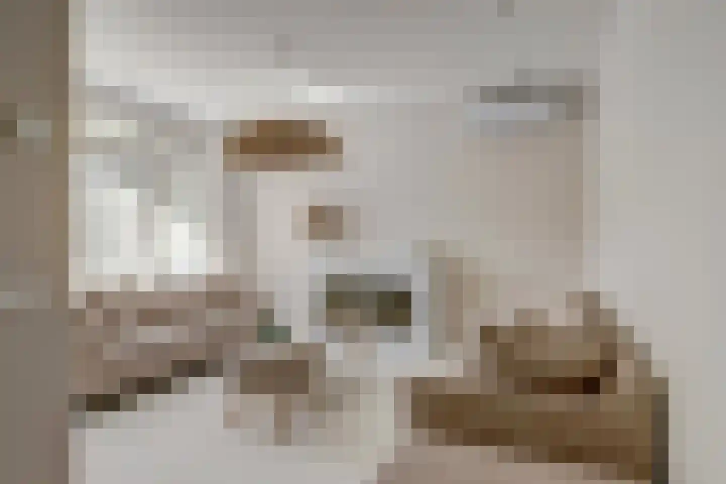 Jac. van Maerlantlaan 55 Heerhugowaard thumbnail 8