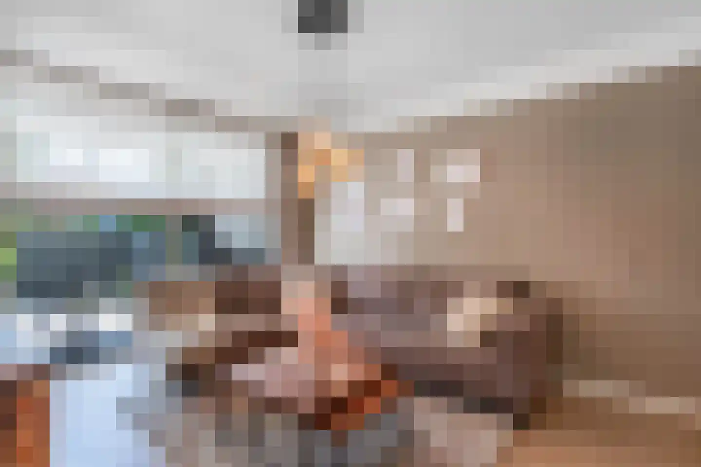 Jac. van Maerlantlaan 63 Heerhugowaard thumbnail 16