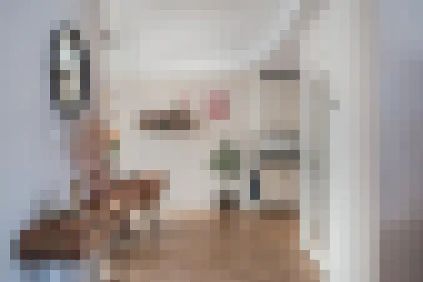 Jac. van Maerlantlaan 63 Heerhugowaard thumbnail 18