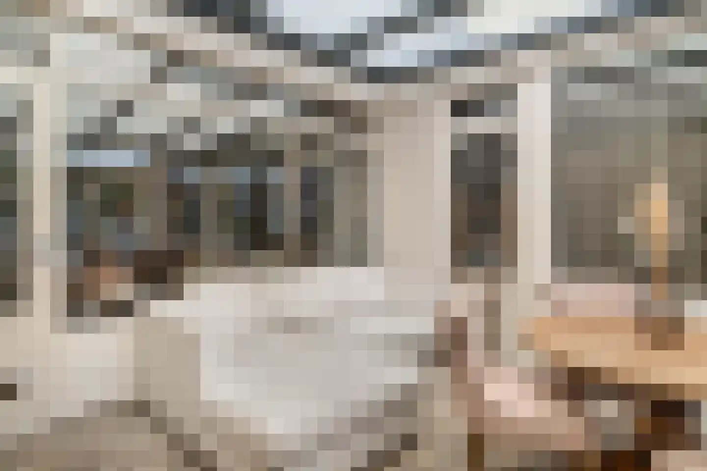 Jac. van Maerlantlaan 63 Heerhugowaard thumbnail 22