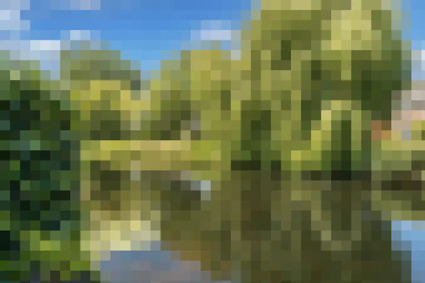 Jac. van Maerlantlaan 63 Heerhugowaard thumbnail 49