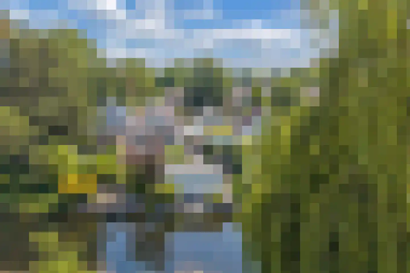 Jac. van Maerlantlaan 63 Heerhugowaard thumbnail 56