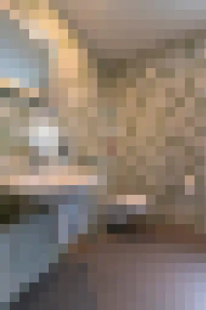 Jac. van Vollenhovenstraat 321 Tilburg thumbnail 18