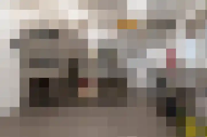 Jac. van Vollenhovenstraat 321 Tilburg thumbnail 28