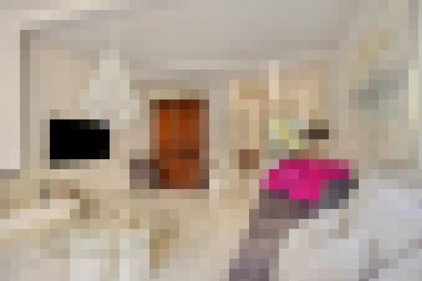 Jachtenlaan 22 Zaandam thumbnail 11