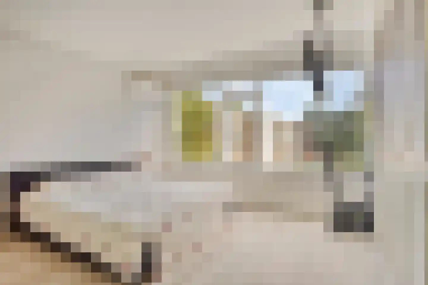 Jachtenlaan 22 Zaandam thumbnail 24