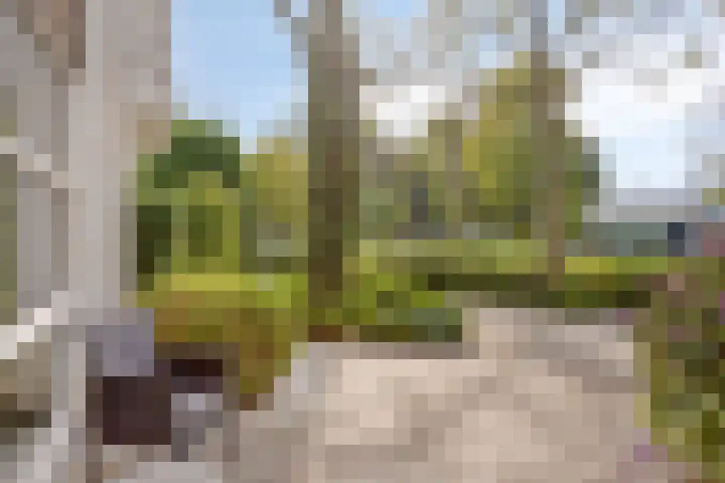 Jachtenlaan 22 Zaandam thumbnail 40