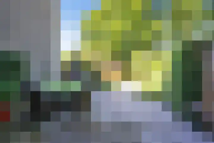 Jachtenlaan 55 Zaandam thumbnail 11