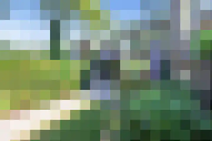 Jachtenlaan 55 Zaandam thumbnail 12
