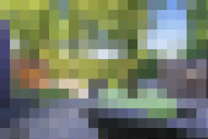 Jachtenlaan 55 Zaandam thumbnail 13