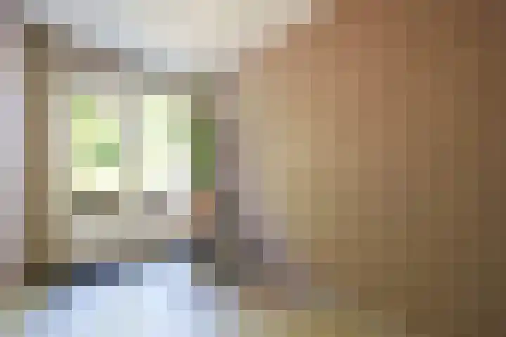 Jachtenlaan 55 Zaandam thumbnail 22